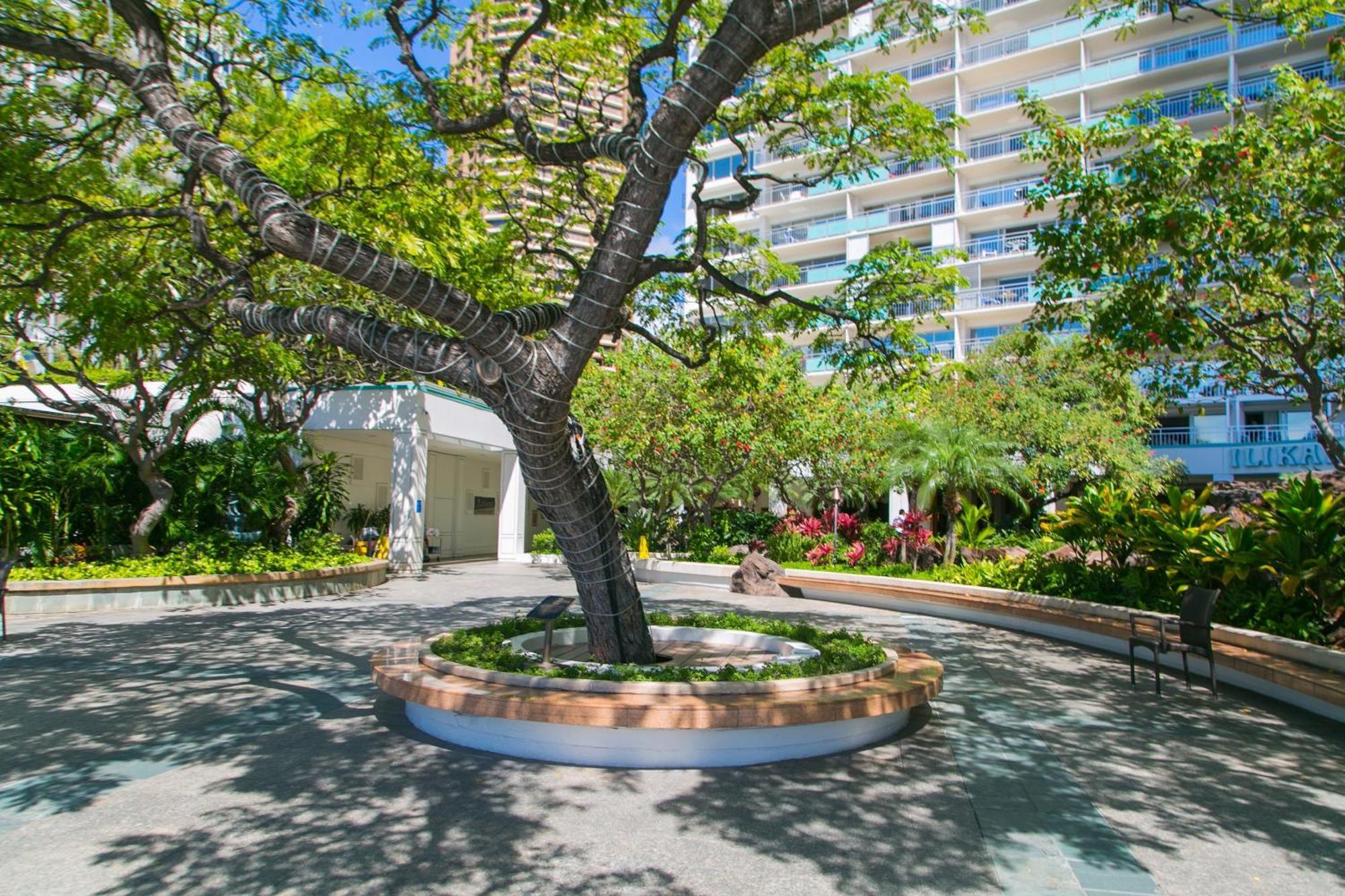 Ilikai Tower 936 Lagoon View 1Br Honolulu Buitenkant foto